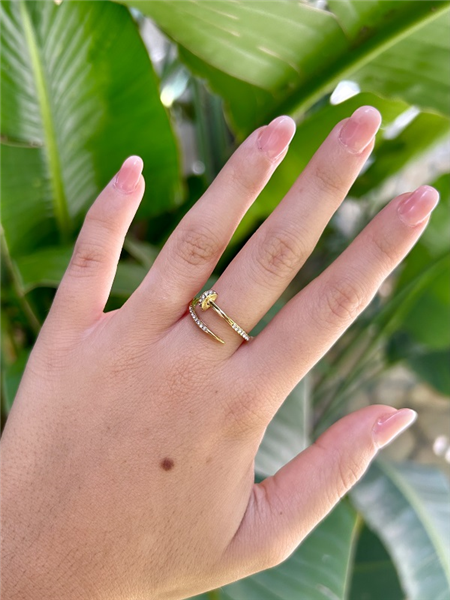 ANELLO CHIODO
