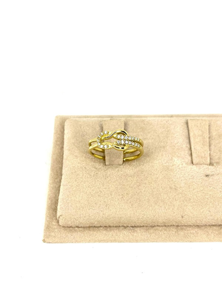 ANELLO LEGAME