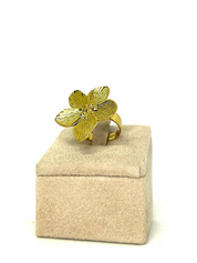 ANELLO IBISCO