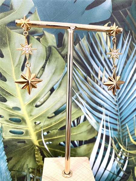 ORECCHINI SHINE STAR